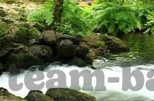 体彩竞技足球比分直播-探秘体彩竞技足球比分直播，激情与智慧的双重盛宴